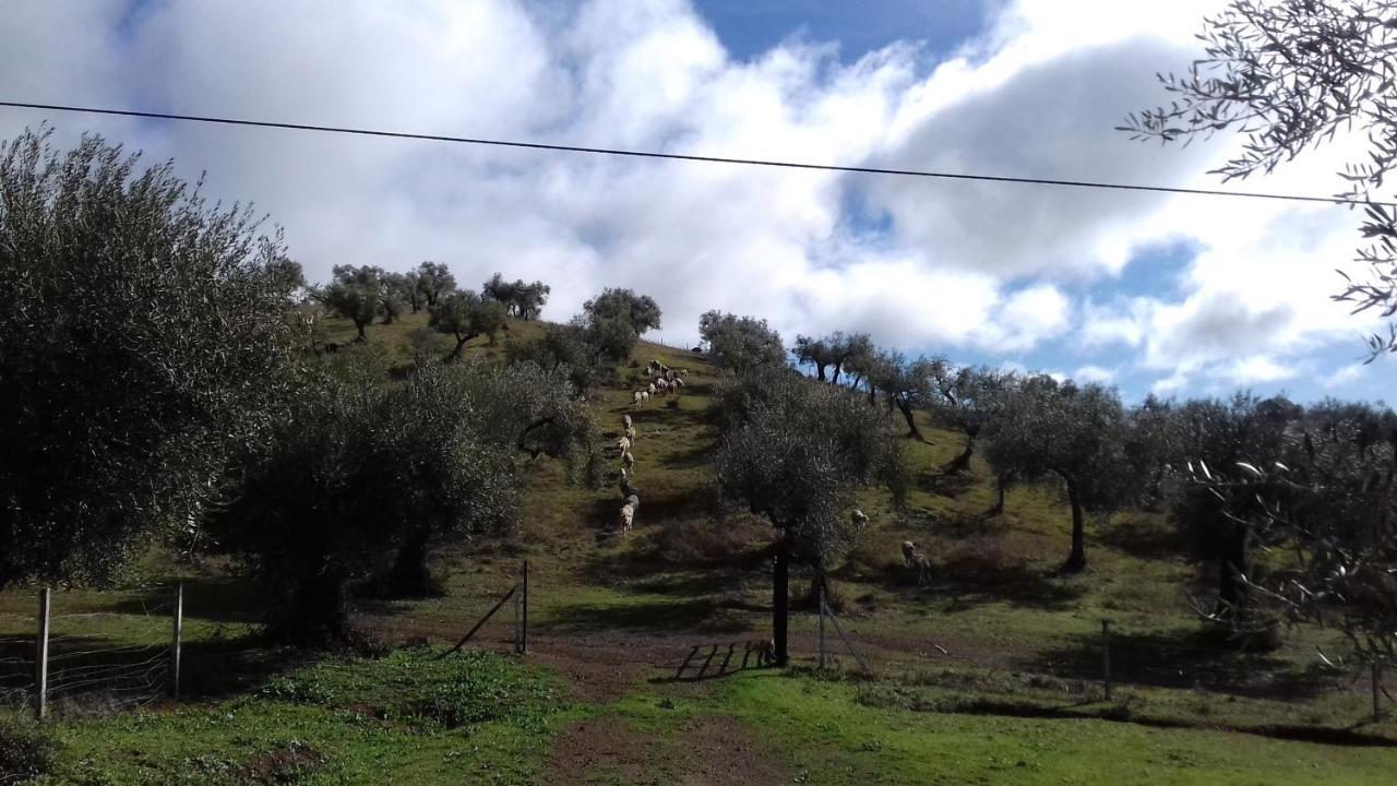 Finca La Carnicera Constantina Eksteriør bilde