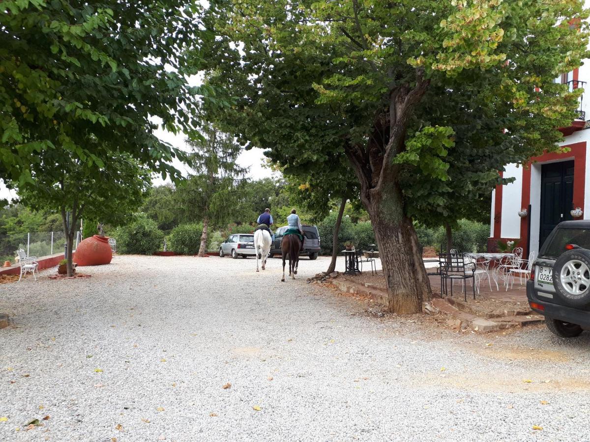 Finca La Carnicera Constantina Eksteriør bilde