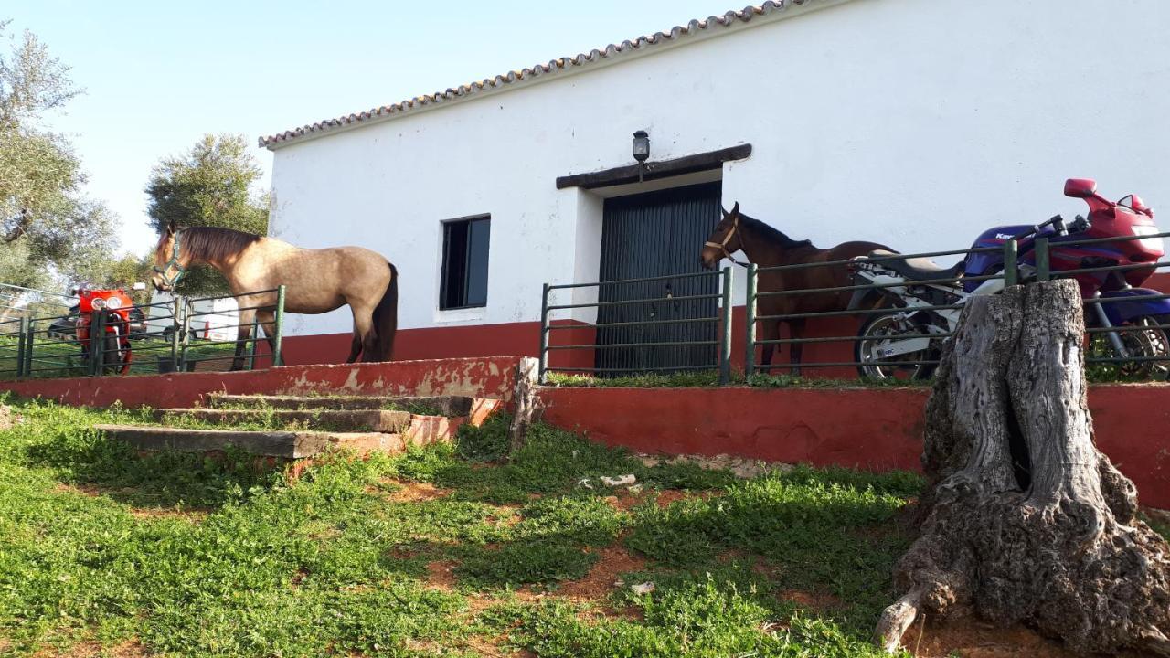 Finca La Carnicera Constantina Eksteriør bilde